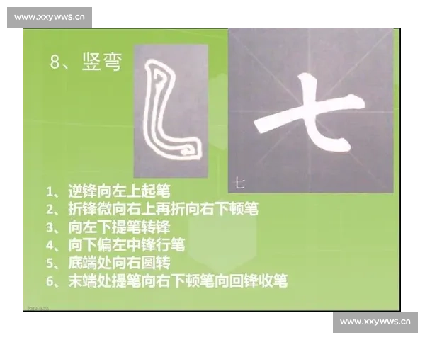 《赛字笔顺解析与书写技巧探究：如何正确掌握赛字的笔画顺序》